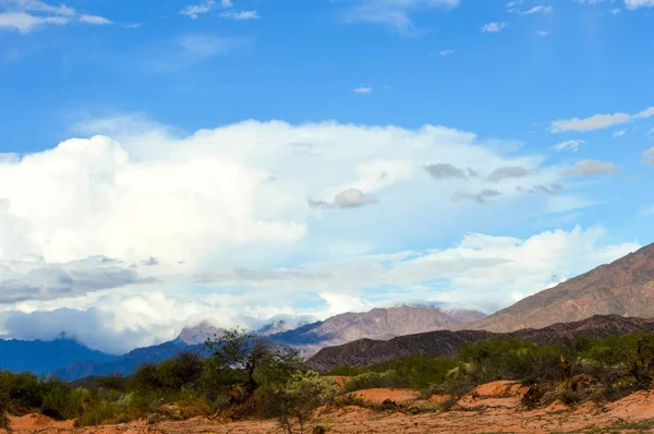 Paesaggio Desertico Della Provincia Salta Argentina — Foto Stock