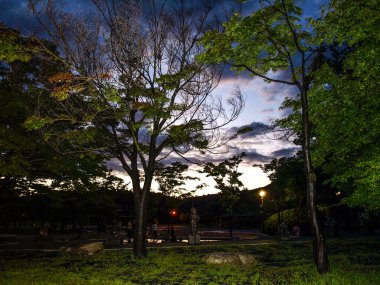 bir parkın gün batımı görünümü