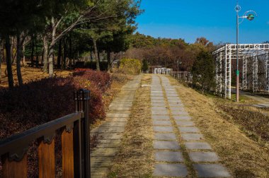 bahçeler arasında bir yol