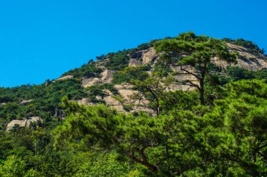 Green Trees Mountain Scenic Area - Seul, Kore