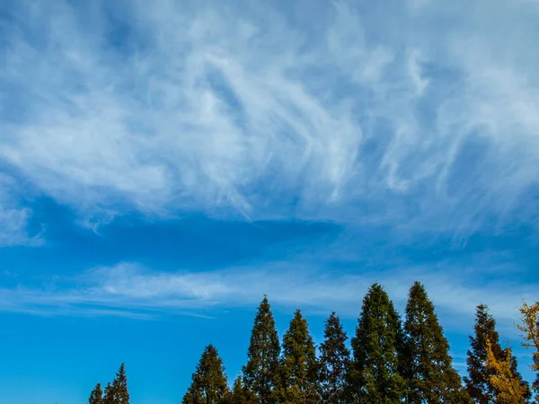 Metasequire Sfondo Cielo Blu Nuvole — Foto Stock