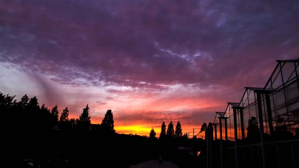 Vista Tramonto Della Strada Metasequire Parco — Foto Stock