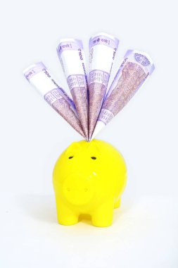 Bir kumbarada Hint 100 Rupi Para Notu. Beyaz arka planda yalıtılmış.