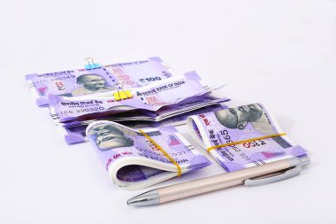 Rupi 100 ve kalem yeni Hint para birimi. Beyaz arka planda yalıtılmış.