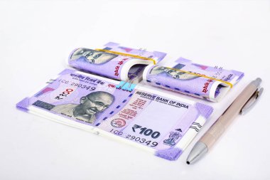 100 rupi ve kalem Hint yeni para birimi. Beyaz arka planda yalıtılmış.