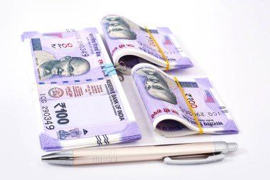 Hint 100 rupi ve kalem. Beyaz arka planda yalıtılmış.