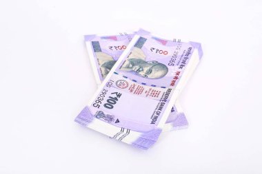 Paket ve kalemden yeni Hint Para Birimi Rupisi. Ahşap arka planda izole.