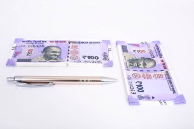 Yeni Hint Para Birimi notları ve kalem. Beyaz arka planda yalıtılmış.