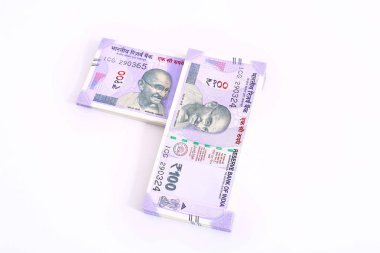 Hint 100 Rupi Para Notu. Beyaz arka planda yalıtılmış.