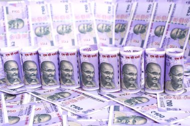 Yeni Hint para birimi banknotlarının fotoğrafı. Beyaz arka planda yalıtılmış.