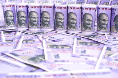 Hint 100 Rupi Para Notu. Beyaz arka planda yalıtılmış.