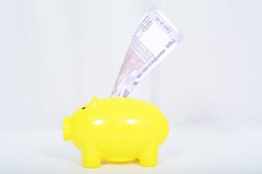 Kumbaradaki yeni 100 rupilik banknotların portresi. Beyaz arka planda yalıtılmış.