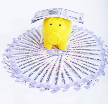 Kumbaralı 100 rupilik bankın fotoğrafı. Beyaz arka planda yalıtılmış.