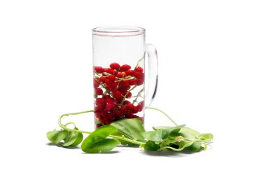 Picture of a giloy vine with a red berry in the glass full of water. Isolated on white background. clipart