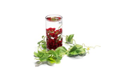 Giloy vine with drop red berry in the glass full of water . Isolated on white background. clipart