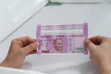 Hint para biriminin resmi- 2000 rupi. Beyaz arka planda yalıtılmış.