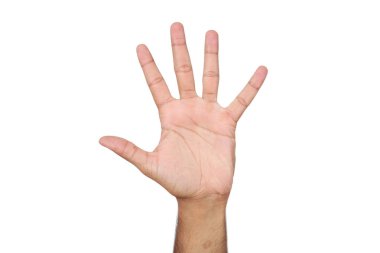 El resmi. Beyaz arka planda yalıtılmış.