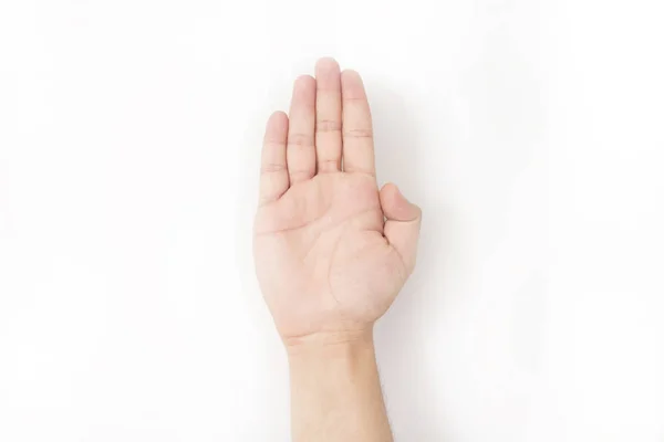 El resmi. Beyaz arka planda yalıtılmış.