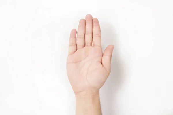 El resmi. Beyaz arka planda yalıtılmış.