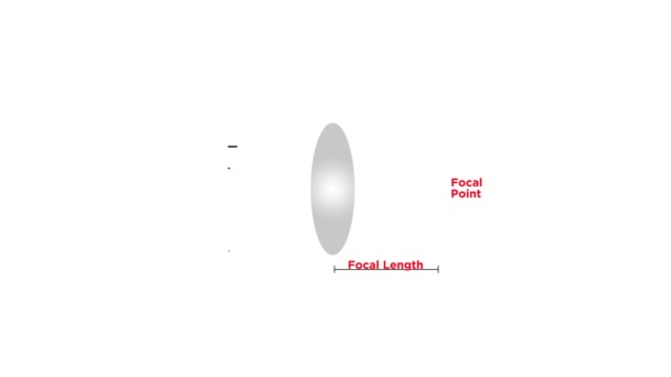 Animation Optical Lens Isolated White Background — Stock Video