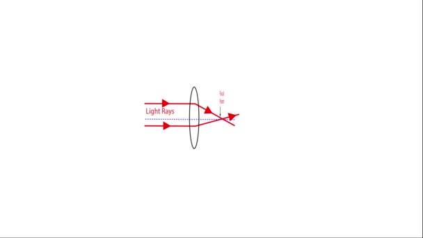 Animering Optisk Lins Diagram Isolerad Vit Bakgrund — Stockvideo