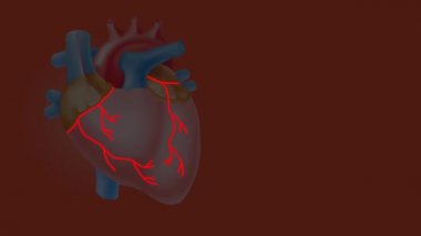 Kalp Görüntüleri . Kırmızı arka planda yalıtılmış.