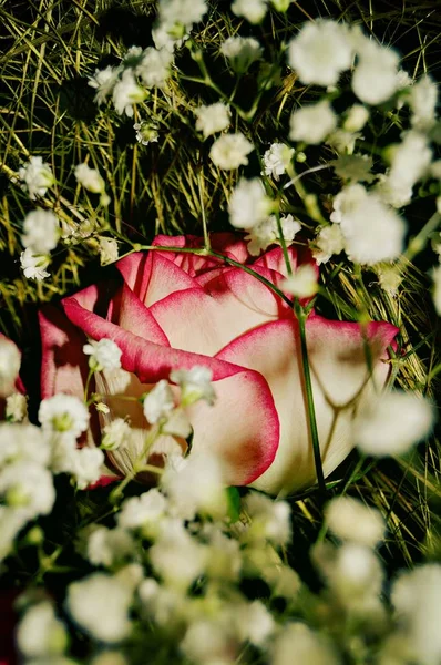 Een Mooi Boeket Voor Een Dame Bestaande Uit Zacht Roze — Stockfoto