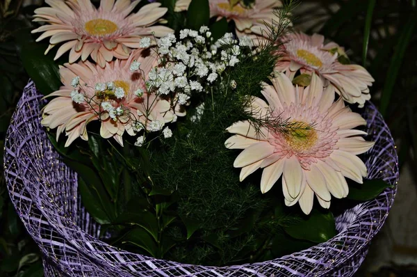 Beau Bouquet Asters Automne Avec Des Feuilles Vertes Petites Fleurs — Photo