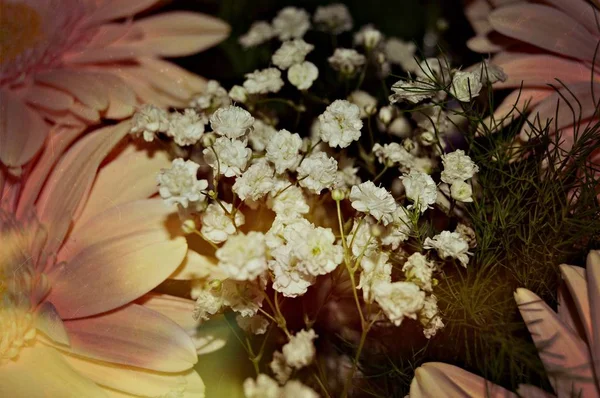 Pequena Flor Branca Grande Buquê — Fotografia de Stock