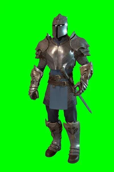 幻想人物骑士与剑在史诗姿势 3D渲染在绿色背景 — 图库照片