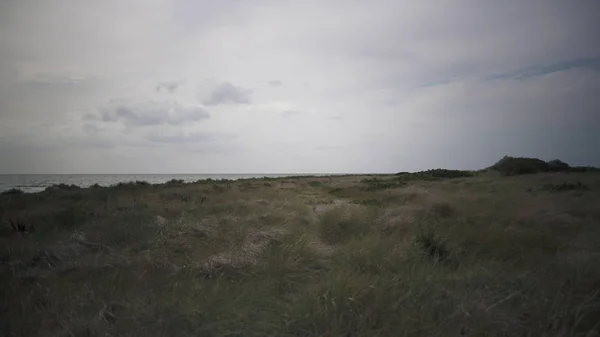 Baltık denizinde Fehmarn adasında kum plaj manzarası