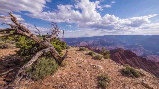 Timelapse of the grand canyon on a cloudy day — Stock Video