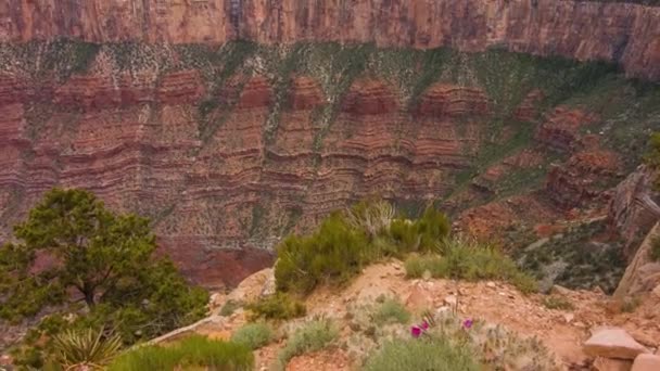 Grand Canyon in Arizona, Stati Uniti . — Video Stock