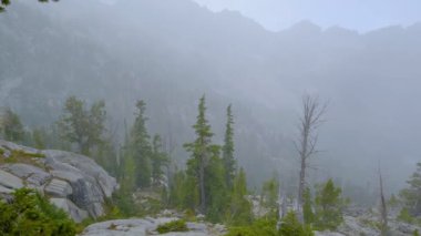 Kar yağarken dağlarda sisli bir orman