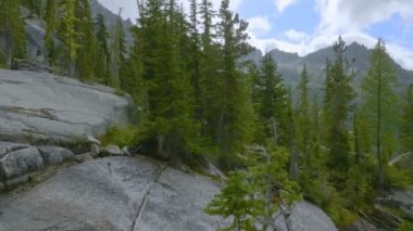 Kışın bakan bir dağ manzarasından