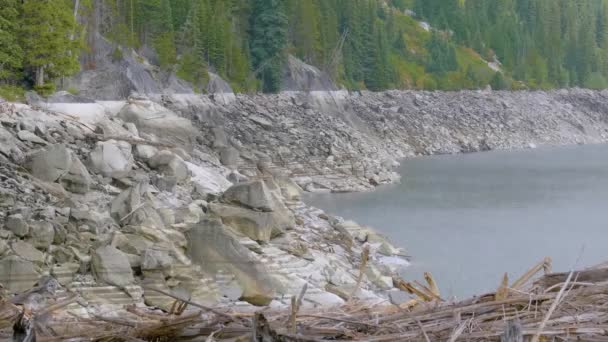 Na břehu jezera se válí spousta starých mrtvých pralesů.. — Stock video