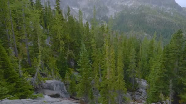 D'une vue sur la montagne qui regarde dehors en hiver — Video