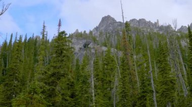 Kışın bakan bir dağ manzarasından