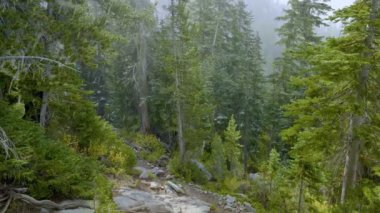 Kışın bakan bir dağ manzarasından