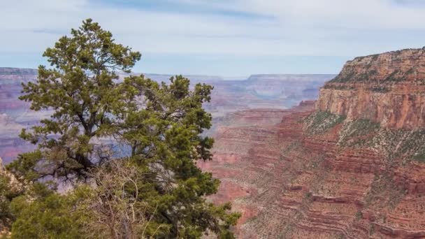 Gran Cañón en Arizona, Estados Unidos . — Vídeos de Stock