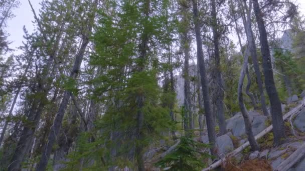 Desde una vista de la montaña mirando hacia fuera en invierno — Vídeos de Stock