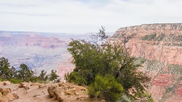 Grand Canyon in Arizona, USA. — Stock Video