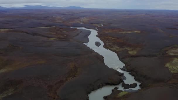 Dron widok na duże koryto rzeki obok wodospadu Seljalandsfoss — Wideo stockowe