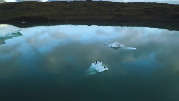 Vista aérea de icebergs flotando en la costa oriental de Islandia — Vídeos de Stock