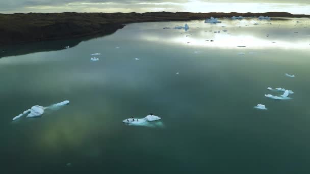 Vista aérea de icebergs flotando en la costa oriental de Islandia — Vídeos de Stock