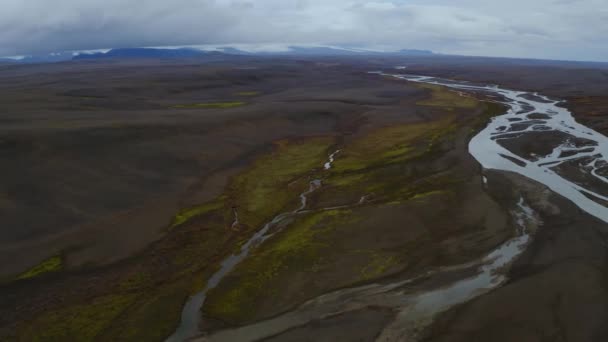 Drönare utsikt över den stora flodbädden bredvid Seljalandsfoss vattenfall — Stockvideo