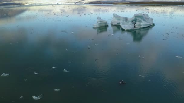 Vista aérea de témpanos de iceberg flotando en el agua — Vídeos de Stock