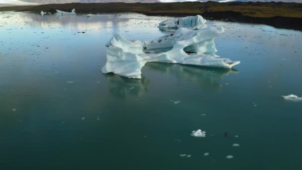 Veduta aerea di flotte iceberg galleggianti in acqua — Video Stock