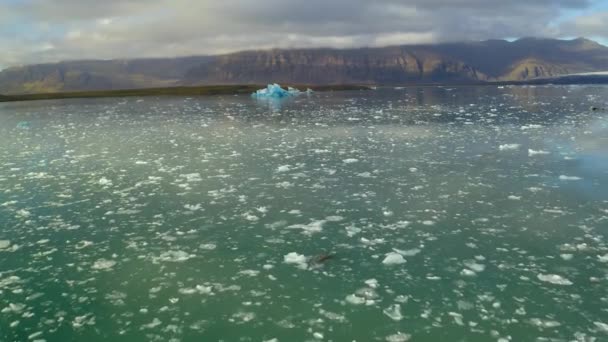 Suda Yüzen Buz Dağlarının Havadan Görünümü — Stok video