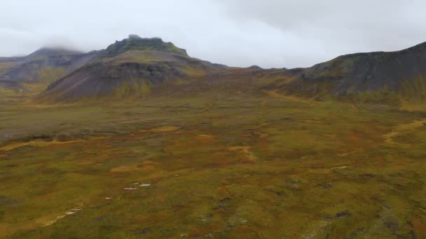 朱普维古尔河沿岸的冰岛全景全景空中西峡湾 — 图库视频影像